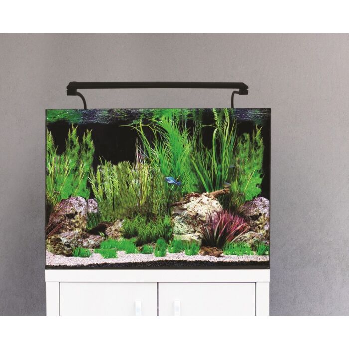 Fish accessories outlet online