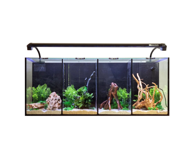 Aqua One Betta Quad Aquarium – Complete Koi