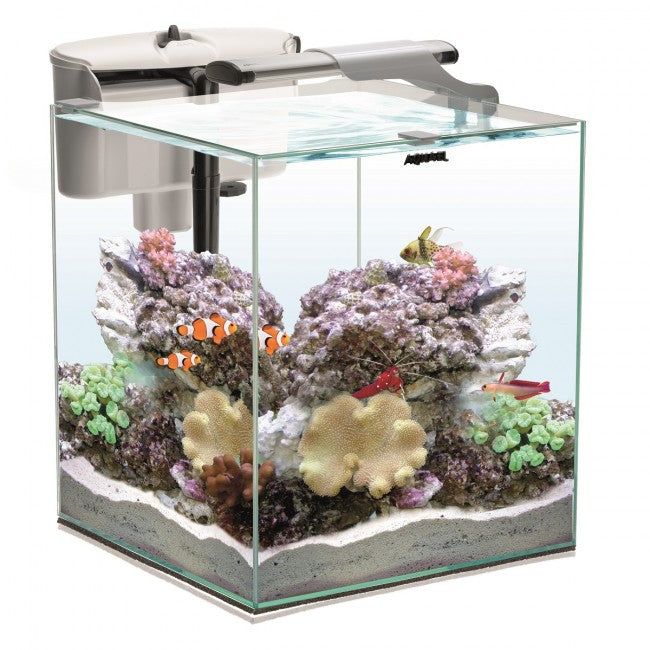 Dennerle Nano Cube 10l Aquarium - Shrimp Tank - Pro Shrimp UK